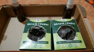 Грибная ферма для выращивания белых грибов