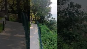 Мироген.Обзор уличной площадки с баром.
