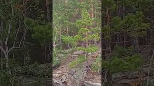 Урал. Озеро Иртяш. База "Утёс". Отдыхаем.