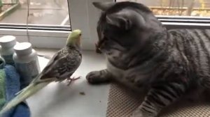 Дружба крепкая ..)))