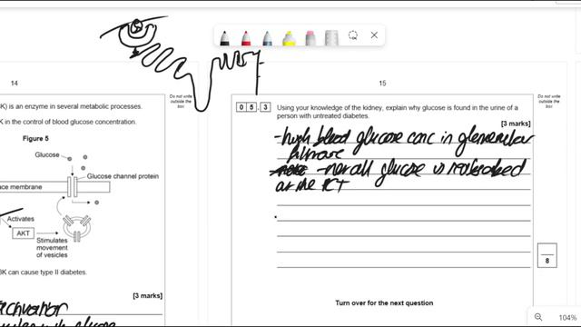 AQA A-Level Biology June 2021 Paper 2 [Runthrough and Tutorial] смотреть онлайн