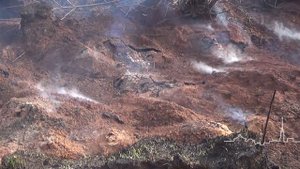 Работы по тушению очагов возгораний торфа продолжаются в АГО