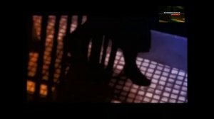 Коварство и любовь