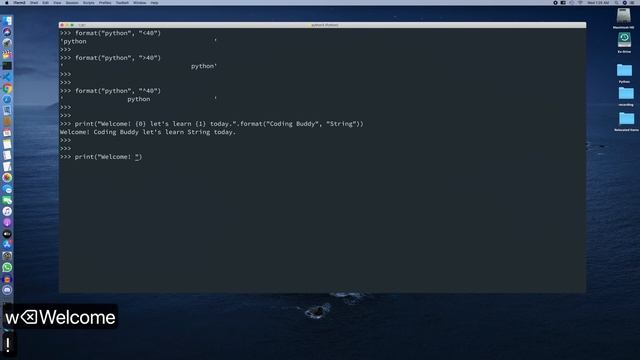 Literals in python | How to use format function in python 3 |Part - #6