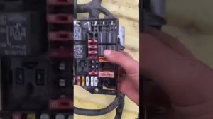 Проводка двигателя газель некст Каменск 2,8
