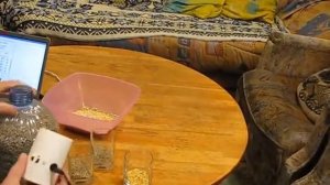 Компактная автокормушка для кур, кроликов, кошек и т.п. Точечная подача.