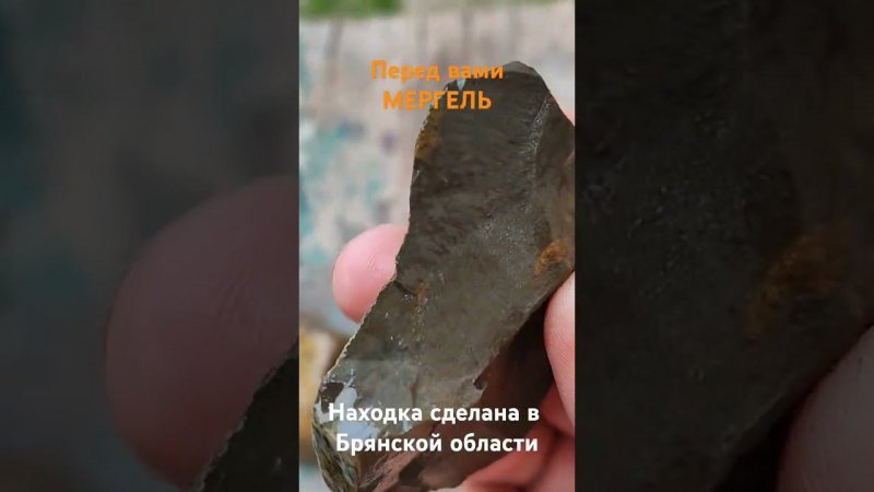 Мергель Брянщины