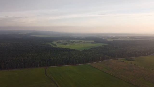 Тайга