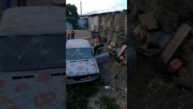 Немецкая овчарка Барон на дрессплощадке смотреть онлайн