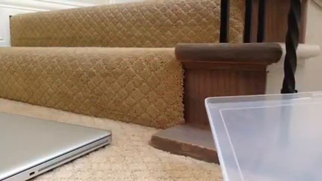 All of my polymer clay creations смотреть онлайн