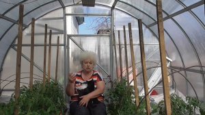 ТРИ ЗОЛОТЫХ ПРАВИЛА ПОДКОРМОК. Ольга Чернова.