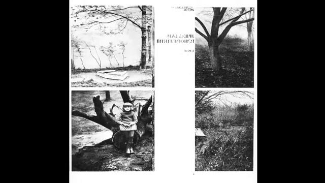 Видеоприложение к журналу Советское фото 1976№10 смотреть онлайн