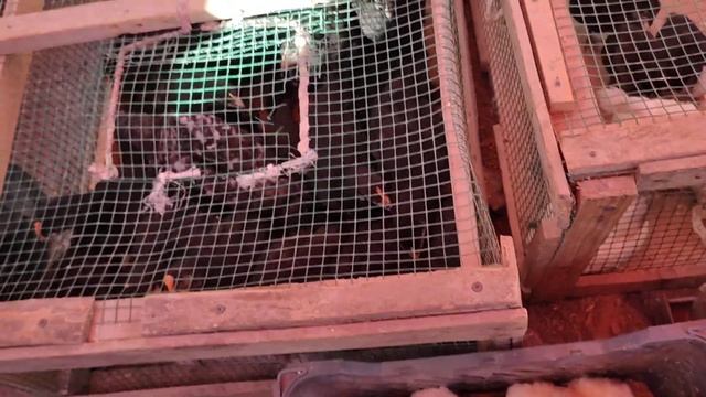 Кызы. Лкая тоок??? базары арзан дапкалты 8.0.8.21 учкоргон тв смотреть онлайн