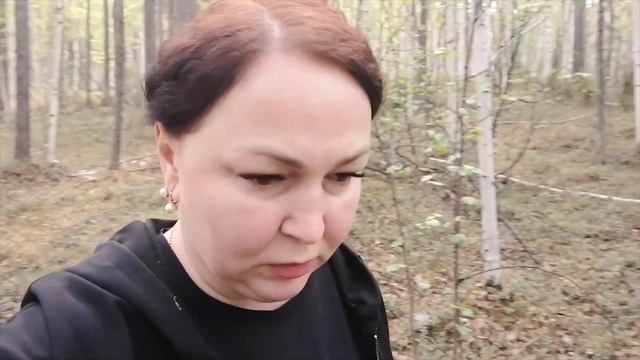 ОХОТА НА МЕДВЕДЯ С ЛАЙКАМИ| Лицензия на добычу оправдана|