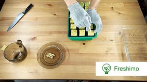 1. Посев семян в минеральную вату для выращивания на гидропонной установке FRESHIMO