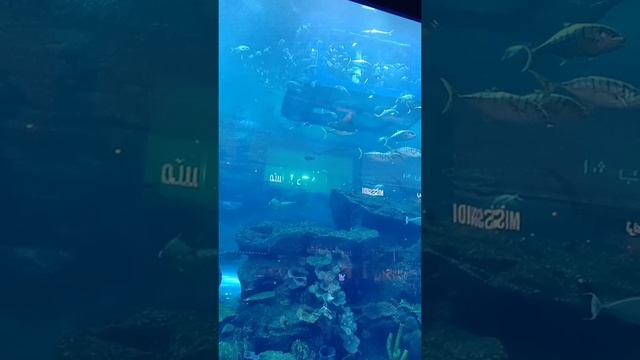 #shorts DUBAI 2021.Самый красивый аквариум.The most beautiful aquarium.