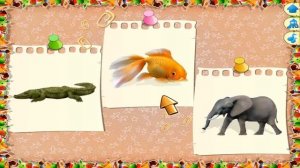 #Игра найди #животное #Game Find an #animal
