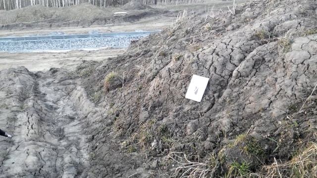 Сигнал охотника для самообороны переделка смотреть онлайн