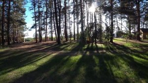 ТЮМЕНЬ 2021. ОБЗОР и ЦЕНЫ БАЗЫ отдыха ГНЕЗДО. Природно-реабилитационный КОМПЛЕКС. НОЧУЕМ в АВТОБУСЕ