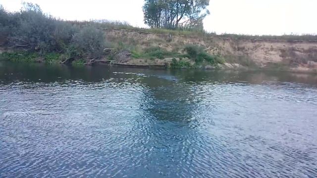 Подводная ловля сома смотреть онлайн