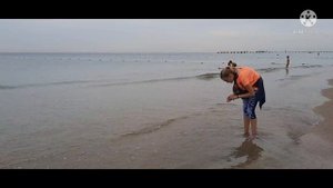 Король пустыни! в ШОКЕ от пляжа Джемете!