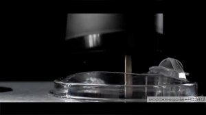 Фруктовый лед в мороженице BRAND 3812