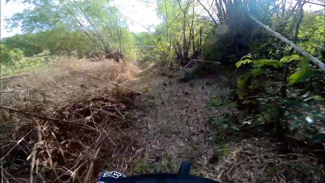 UPV Miagao Trail | MTB chased by dogs смотреть онлайн