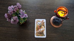 Тотемное животное дня - для знака зодиака "Овен"