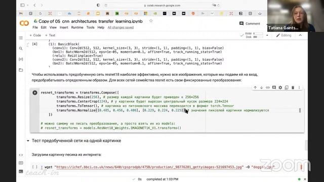Гайнцева Т.А. - Введение в глубокое обучение - 5. Компьютерное зрение. Transfer Learning