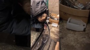 Нива Урбан . Глобальная переделка нивы 2121 в Урбан. Тюнинг нивы Урбан