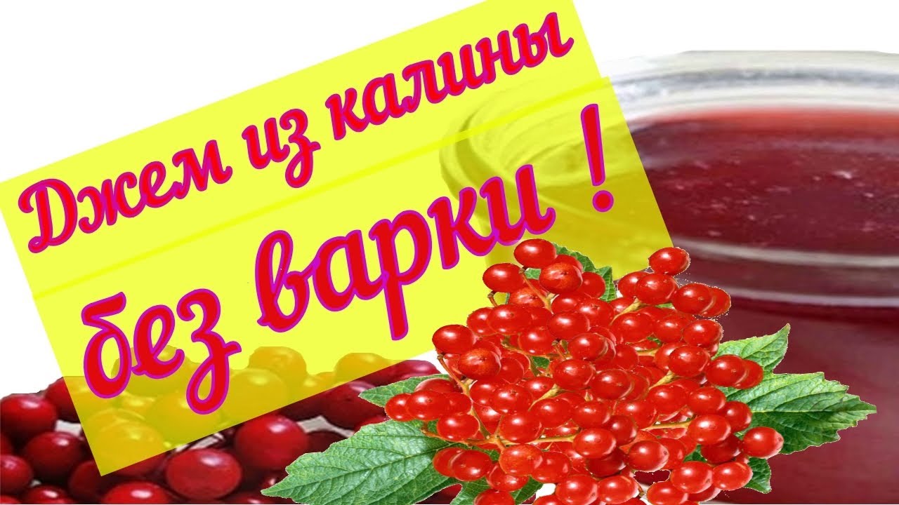 Джем из калины Калина на зиму без варки. Калина защита иммунитета на всю зиму смотреть онлайн