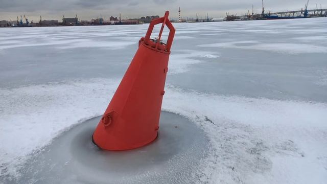 Судак на Финском Заливе 04.03.22 Ленэкспо #судак #зимняярыбалка #финскийзалив