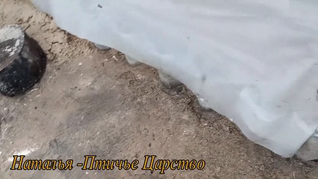 Инь янь смотреть онлайн