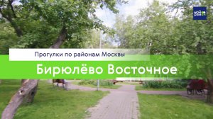 Прогулки по районам Москвы: Бирюлёво Восточное