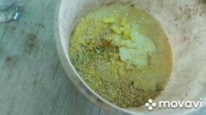 самодельная подкормка для рыбы и лечу и ловлю
