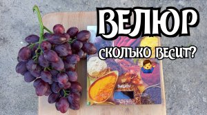 Виноград ВЕЛЮР. СКОЛЬКО ВЕСИТ гроздь?