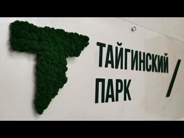 ЖК "Тайгинский парк" в Новосибирске: экскурсия в интерьерный шоу-рум