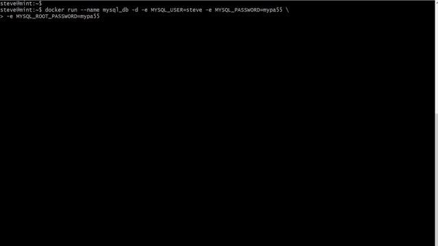 setup and run mysql with docker смотреть онлайн