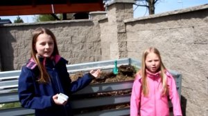 ВЫРАЩИВАЕМ ГОМУНКУЛА! Homunculus experiment !