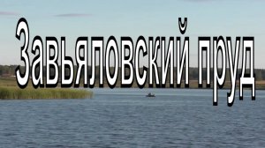 Завьяловский пруд. Новосибирская область. Тогучинский район. Село Завьялово. Рыбаки на пруду.