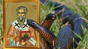 25 сентября - Змеиный день. Осенний ритуал на достаток и процветание. Икона Божьей Матери "Боянская"