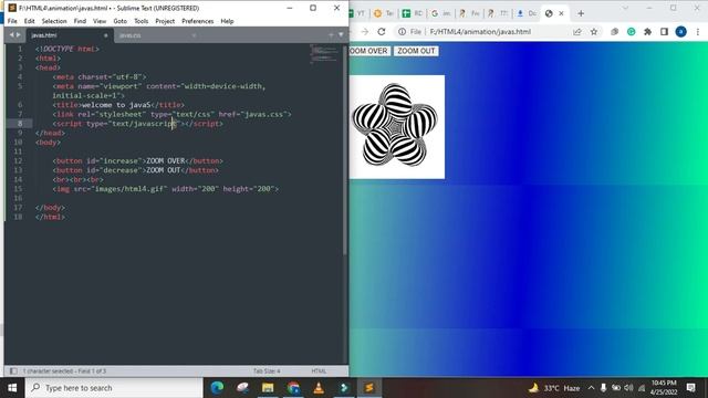 Understanding ZOOM CONTROL AND The Expert's Guide to ZOOM CONTROL HTML CSS JAVA SCRIPT FULL TUTORIA