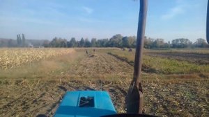 МТЗ 82 ТЯНЕТ 3 ТОНН СВЕКЛЫ С ПРИЦЕПОМ 2 ПТС4.5❎ВЫВОСКА