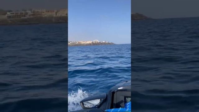 Увидела летающую рыбу на Тенерифе гидроцикл тенерифе tenerife