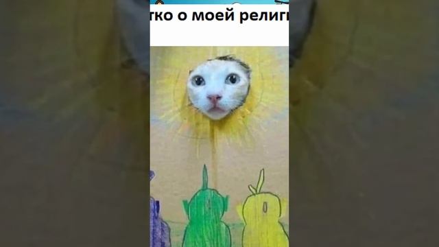 Мемы и приколы с озвучкой #мемы #коты #приколы #shorts #угар #мемыпро100 #коты