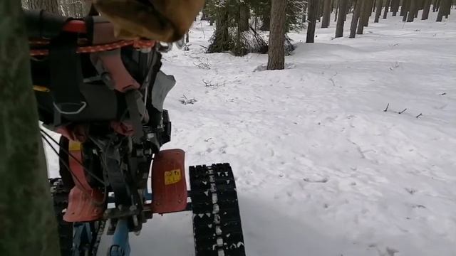 Самобеглая повозка "Ока" на гусеницах по насту в лесу 07.04.2022 смотреть онлайн