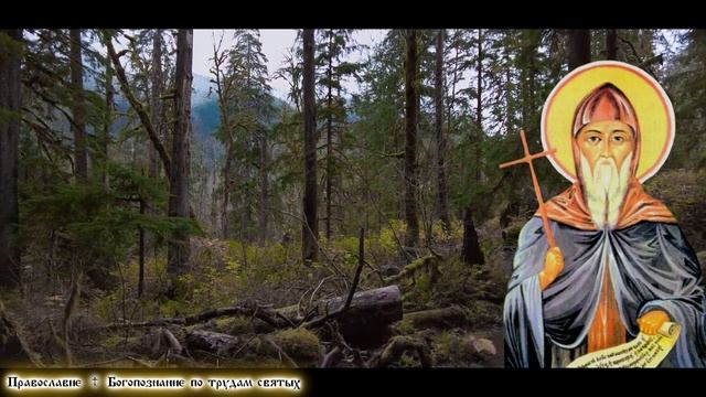 ХЛЕБ ЖИЗНИ Преподобный Нил Мироточивый ПОСМЕРТНЫЕ ВЕЩАНИЯ. смотреть онлайн