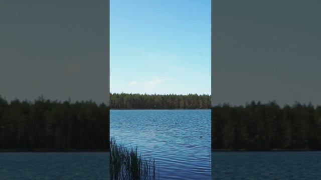 Таинственное озеро смотреть онлайн