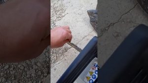 Реанимировал бензопилу Интерскол