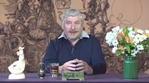 С. Савельев. Мозг. Не всегда и не у всех